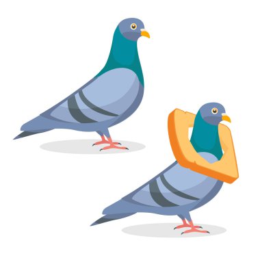 Beyaz arka planda izole edilmiş boynunda tost ekmeği olan komik güvercin karakterleri koleksiyonu. Vektör illüstrasyonu