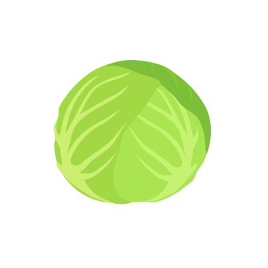 Beyaz arka planda izole edilmiş taze yeşil lahana. Sebze. Vektör illüstrasyonu