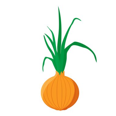 Sarı, yeşil filizli altın soğan, beyaz arka planda izole edilmiş. Tam soğan soğanı. Sebze. Vektör illüstrasyonu