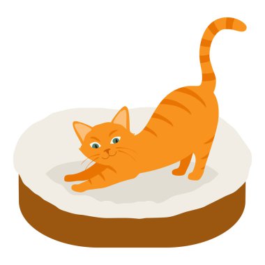 Kızıl kedi beyaz arka planda izole edilmiş yumuşak yatak yastığında uyur. Vektör