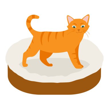 Beyaz arka planda izole edilmiş yumuşak yatak yastığındaki kızıl kedi. Vektör