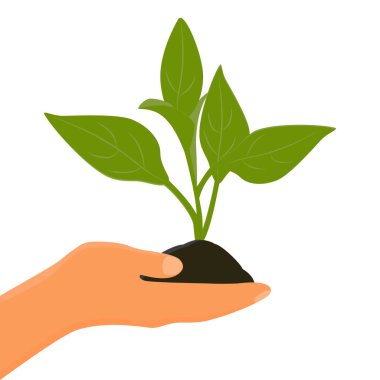 Beyaz arka planda küçük bir bitki filizi var. Ağaç filizleniyor. Dünya Çevre Günü. Vektör illüstrasyonu