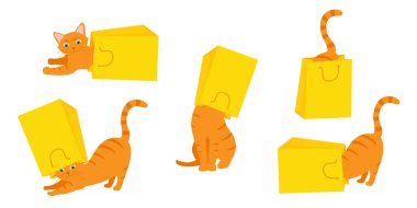 Kızıl kediler sarı kağıt poşetlerle oynarlar. Çeşitli pozlarda kedi yavrularının toplanması yaramazlık yapmak ve etrafta oynaşmak, çılgın komik tüylü kedi yavruları. Vektör