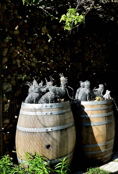 Vieux Tonneaux Vin Inutilisés Blanchis Utilisés Comme Décoration Jardin — Photo