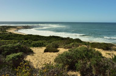 Güney Afrika 'nın Batı Burnu' ndaki bozulmamış Still Körfezi üzerindeki aşırı büyümüş bir kumuldan görüntü