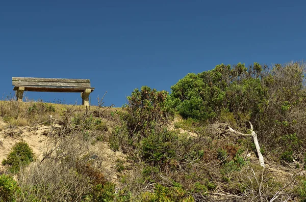 Старая Выветрившаяся Деревянная Скамейка Заросшей Дюне Фоне Ясного Голубого Неба — стоковое фото