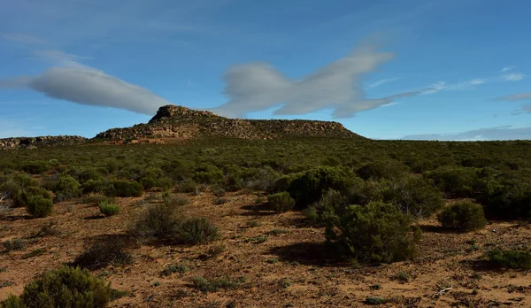 在南非西开普省蓝天的映衬下 形成了由崎岖干旱的塞德堡山脉和巨大的云彩构成的壮观景象 — 图库照片