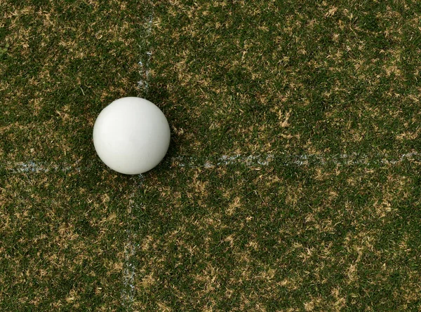 The white ball in lawn bowling is the target and to bowlers known as a jack