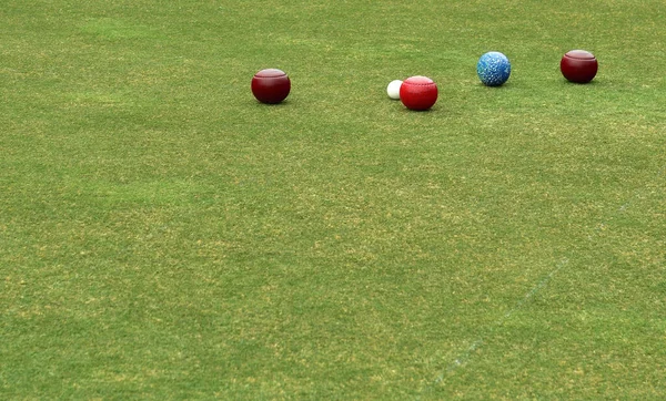 Some colored lawn bowls in a line with the white ball known as the jack