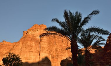 A huge red monolithic rock and palm trees at Shaden Resort near Al Ula in Saudi Arabia