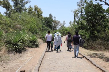 Orman kampını keşfetmek için çevresindeki tepelerde yürüyen tanınmamış insanlar.