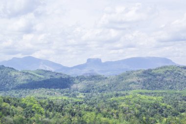Yağmur ormanları, Sri Lanka arasında ünlü Sigiriya dağ (aslan dağ) güzel görünümü