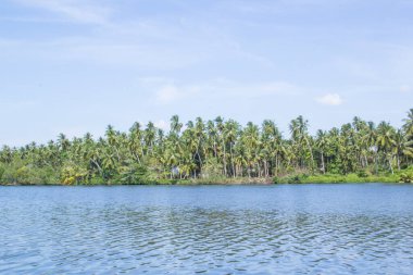 Güzel görünüm göl Koggala, Sri Lanka, güneşli bir gün temizleyin