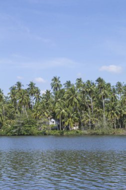 Güzel görünüm göl Koggala, Sri Lanka, güneşli bir gün temizleyin