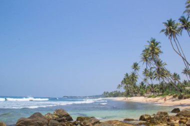 Güneşli bir günde güzel manzara Sri Lanka tropikal plaj