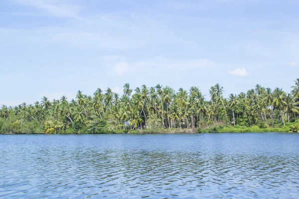 Vacker Utsikt Sjön Koggala Sri Lanka Solig Rensa Dag — Stockfoto