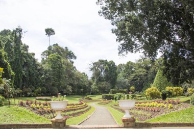 Kandy, Sri Lanka 'daki Kraliyet Botanik Bahçesi' nin güzel manzarası