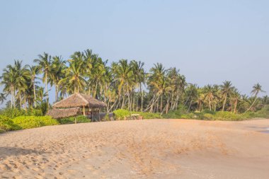 Güneşli bir günde güzel manzara Sri Lanka tropikal plaj