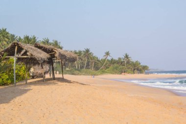 Güneşli bir günde güzel manzara Sri Lanka tropikal plaj