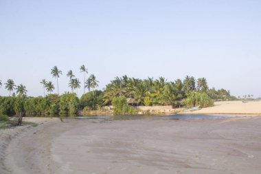 Güneşli bir günde güzel manzara Sri Lanka tropikal plaj