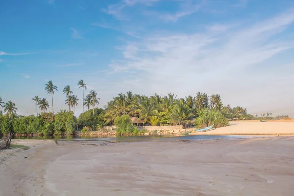 stock image Beautiful view of the tropical beach of Sri Lanka on a sunny day