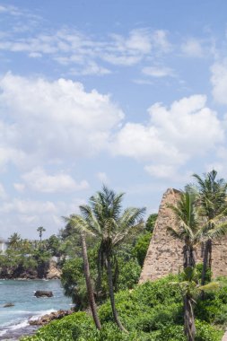 Güneşli bir günde güzel manzara Sri Lanka tropikal plaj