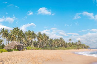 Güneşli bir günde güzel manzara Sri Lanka tropikal plaj