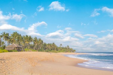 Güneşli bir günde güzel manzara Sri Lanka tropikal plaj