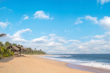 Güneşli bir günde güzel manzara Sri Lanka tropikal plaj