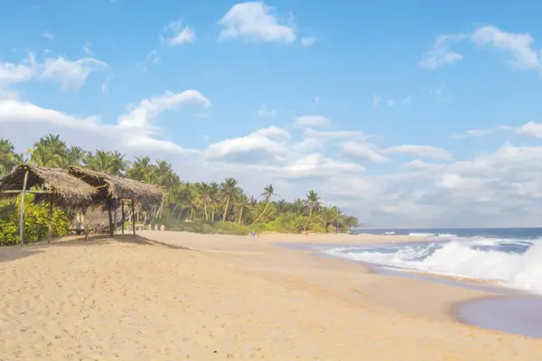 화창한 스리랑카의 해변의 — 스톡 사진