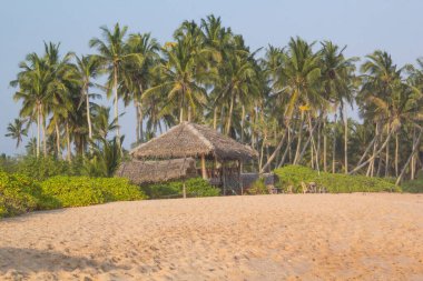 Güneşli bir günde güzel manzara Sri Lanka tropikal plaj