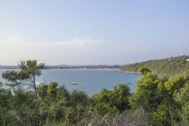 Güneşli bir günde güzel manzara Sri Lanka tropikal plaj