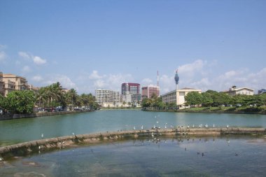 Güneşli bir günde Colombo, Sri Lanka 'nın güzel manzarası