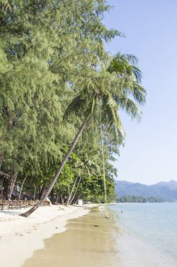 Güneşli bir günde Tayland sahilinin güzel manzarası