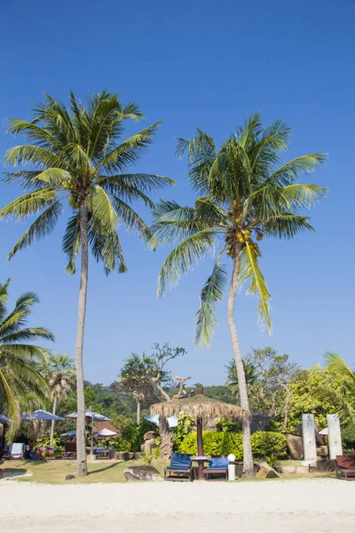 stock image Beautiful view of the beach of Thailand on a sunny day