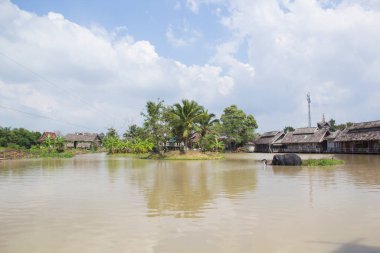 Pattaya, Tayland 'daki Yüzen Pazar' ın güzel manzarası