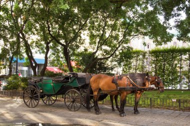 Vienna, Avusturya - 24 Ağustos: Gezi arabası yakınındaki 24 Ağustos 2017 Hofburg kalesinde Viyana, Avusturya