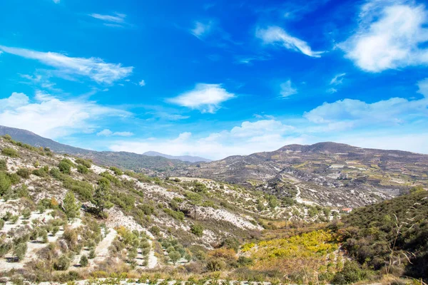 Hermosa Vista Las Terrazas Uva Chipre — Foto de Stock