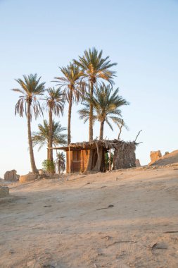 Siwa Oasis, Mısır 'daki Fatnas Adası' nın güzel manzarası