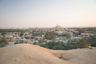 Mısır 'ın Siwa Oasis kentindeki Gebel al-Mawta' dan güzel bir hurma korusu manzarası.