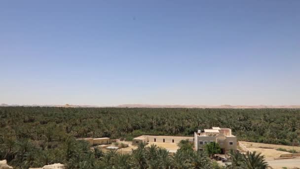 Pemandangan Indah Gebel Mawta Dan Kota Siwa Oasis Mesir — Stok Video