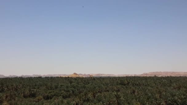 Όμορφη Θέα Της Gebel Mawta Και Την Πόλη Της Siwa — Αρχείο Βίντεο