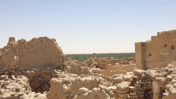 Чудовий Вид Храм Оракула Сіва Оазі Єгипет — стокове відео