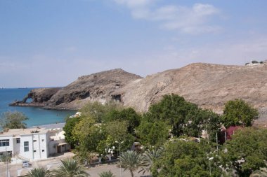 Ünlü plaj fil Aden, Yemen