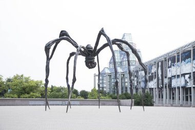 Kanada, Ottawa 'daki Ulusal Galeri' nin güzel manzarası