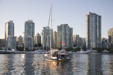Vancouver, Kanada 'daki Vancouver Körfezi' nin güzel manzarası