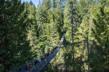 Vancouver, Kanada 'daki Capilano Askı Köprüsü Parkı' nın güzel manzarası