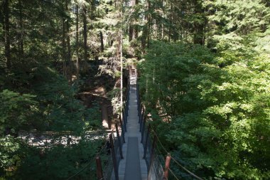 Vancouver, Kanada 'daki Capilano Askı Köprüsü Parkı' nın güzel manzarası