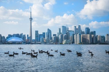 Kanada Toronto 'daki Rogers Center ve CN Tower' ın güzel manzarası