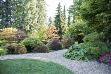 Vancouver, Kanada 'daki VanDusen Botanik Bahçesinin güzel manzarası